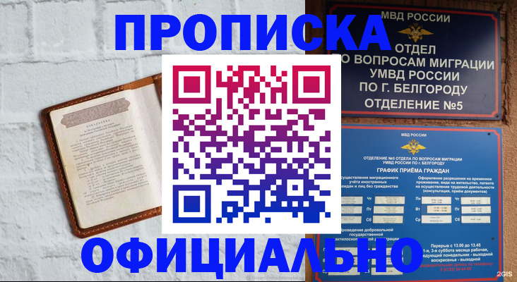 временная регистрация для школы в Мурманской области